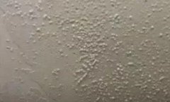 首页 - 欧博ABG集团官网登录