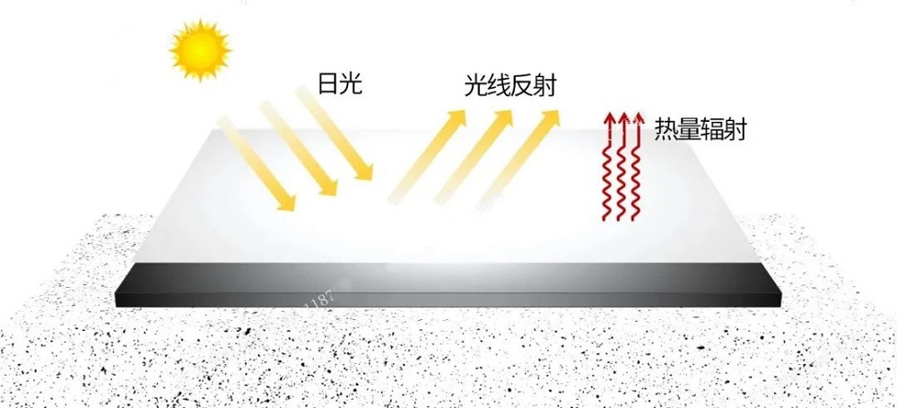 1_241015170117_1 首页 - 欧博ABG集团官网登录
